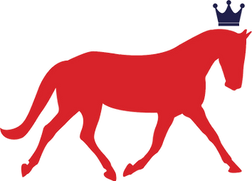 <span class="text">Soft Hands Equine equipment shop</span>